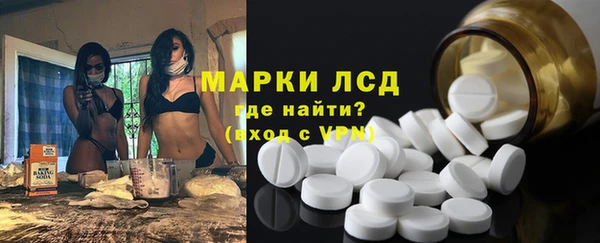 ECSTASY Алзамай