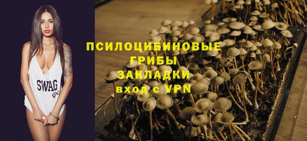 ECSTASY Алзамай