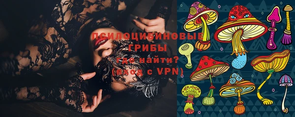 прущие крисы Няндома