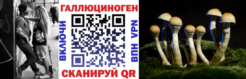 нарко площадка Telegram  как найти   Красноярск  Псилоцибиновые грибы ЛСД  mega сайт 